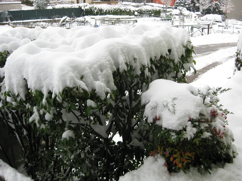 Neve in via Bottogno, Viganello by Heidi Wirth