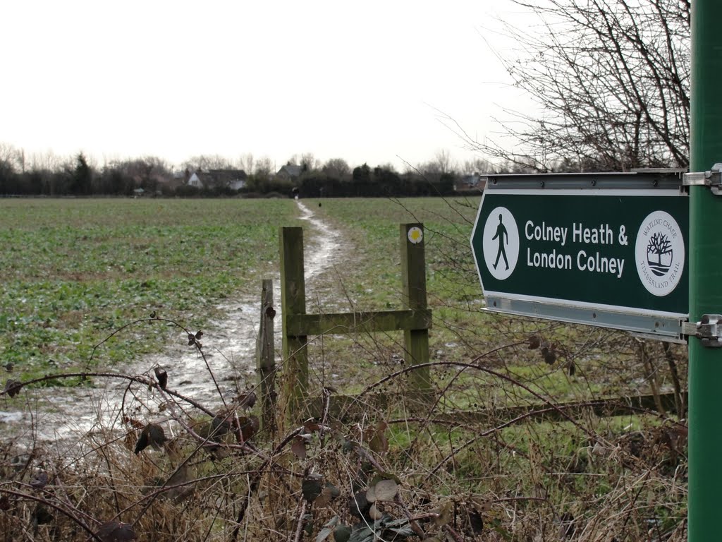 London Colney, straight ahead alban way by neutrinoghost