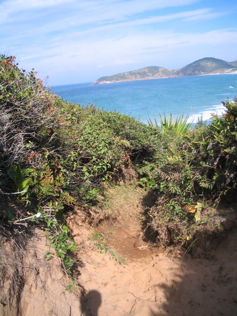 Praia do Rosa by biotiago