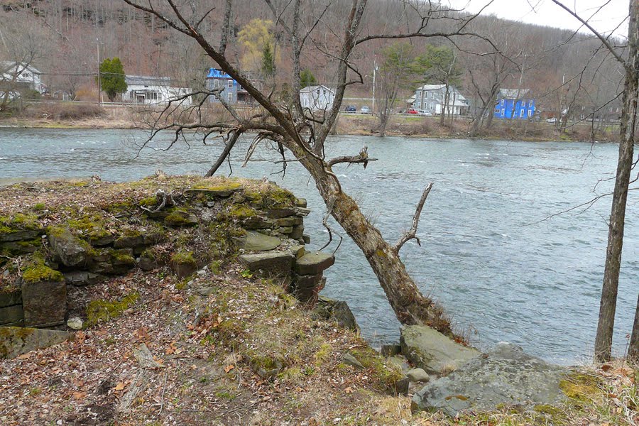 Tree chenango river by old canal by Geraldine Clark