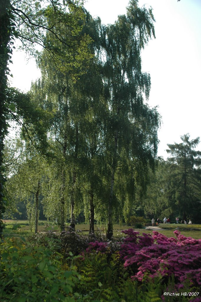 Impressionen im Rhodonendronpark Bremen by Pictive