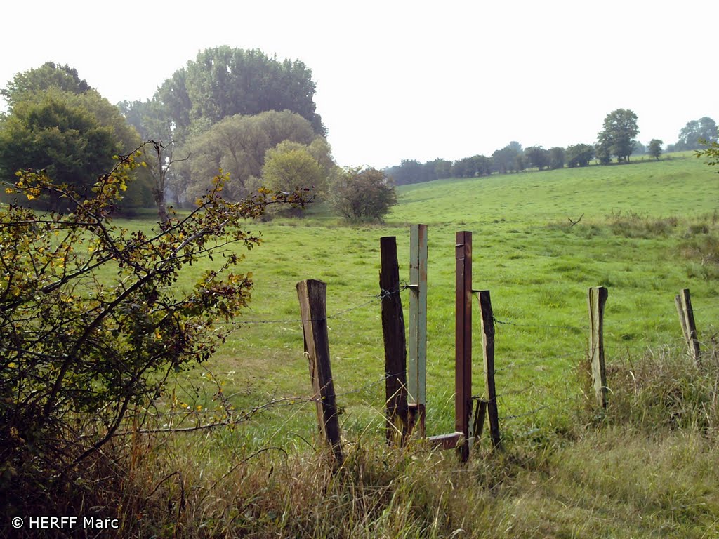 Soumagne: Enlang dem "Ruisseau des Marais" by Wandern in Ostbelgien