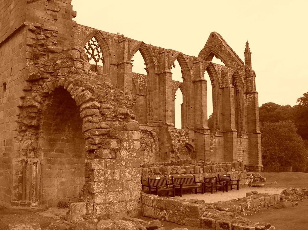 Bolton Abbey by Ian Todd