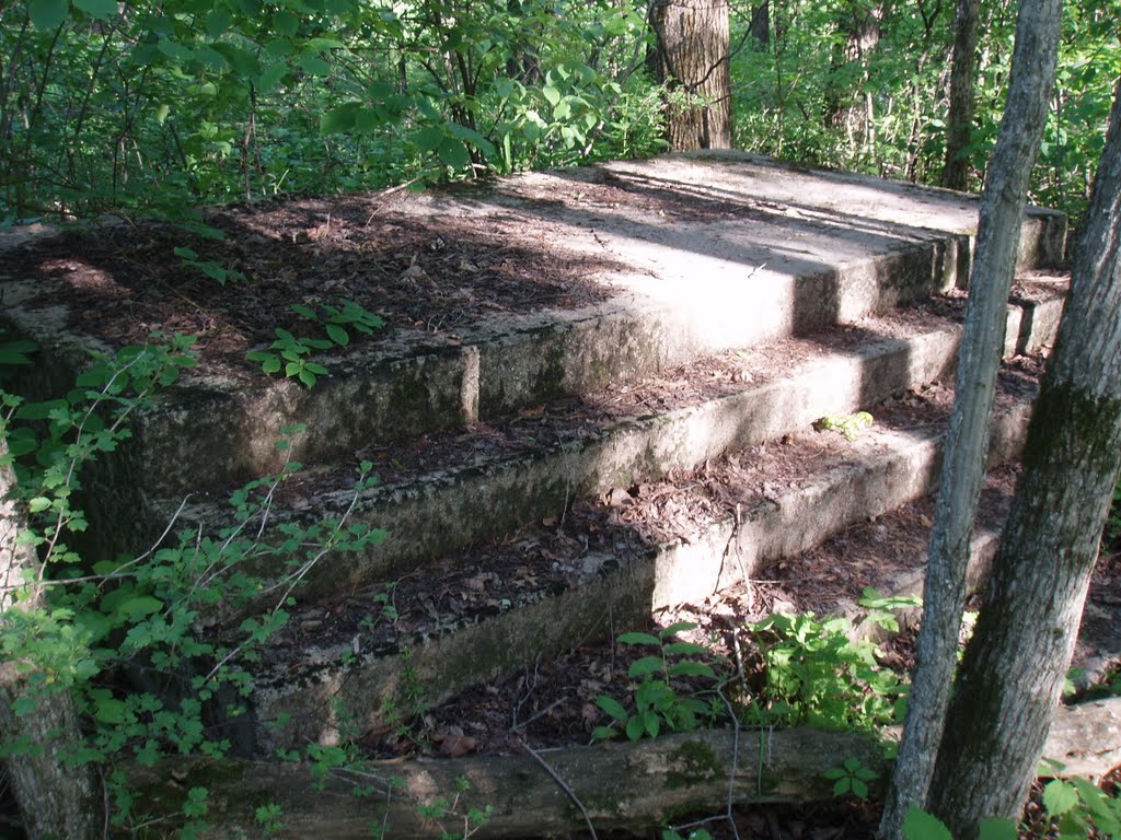 Steps to the old schoolhouse in historic Forestville MN by bob19