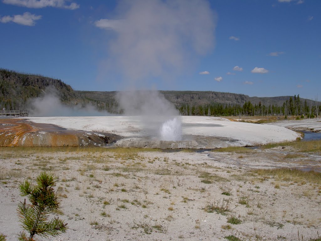 Black Sand Geyser Basin, Yellowstone National Park by Maria Gizella Nemcsics