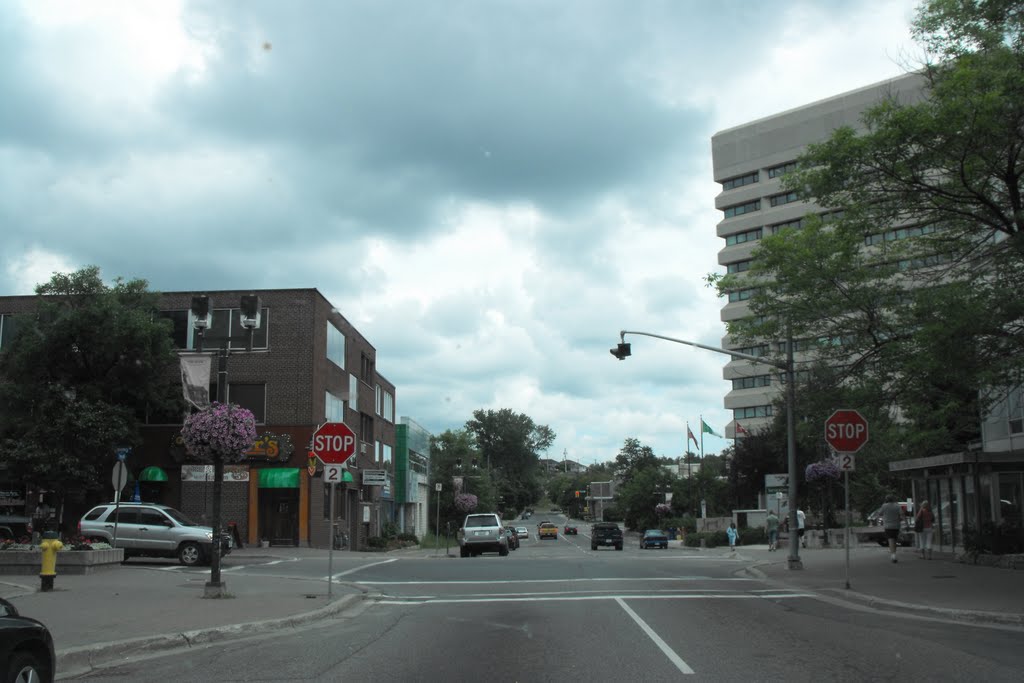 Larch St, looking east by Snapdragon