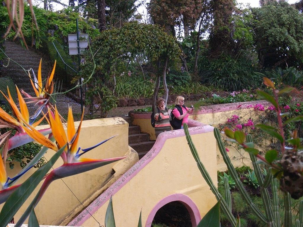 Im Jardim Botaico, Monte bei Funchal by Josef Grohs