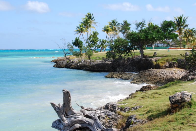 Guardalavaca coast by michael woodcock