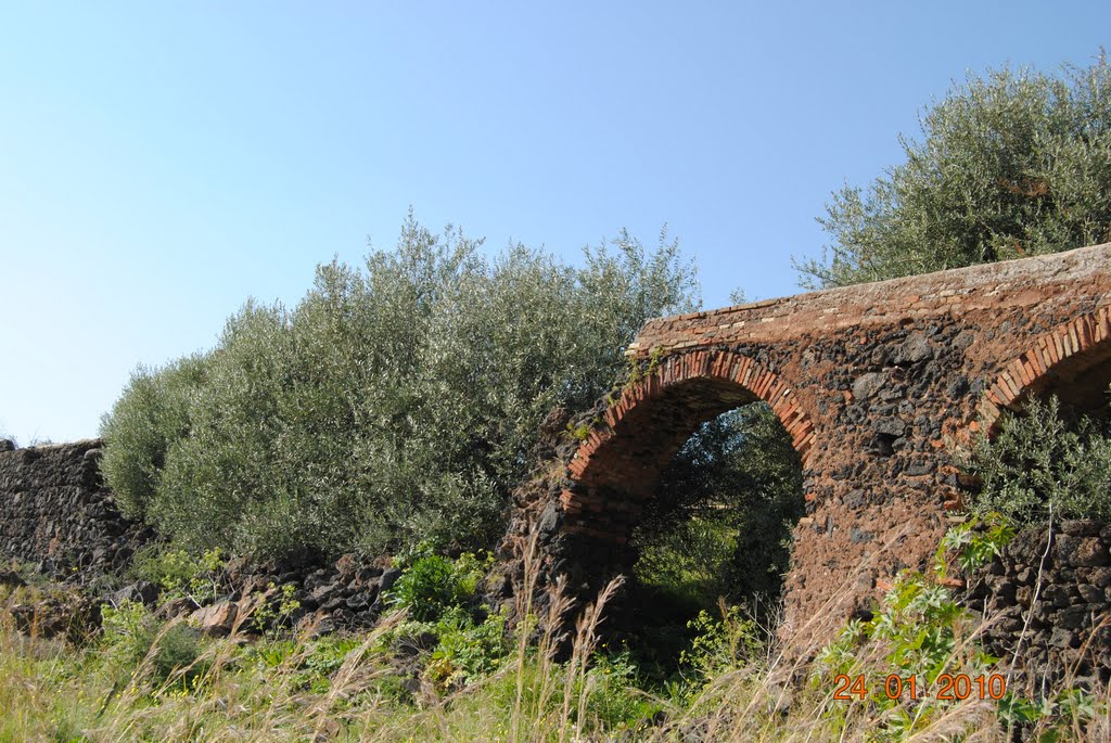 La Natura vince sempre by Io'