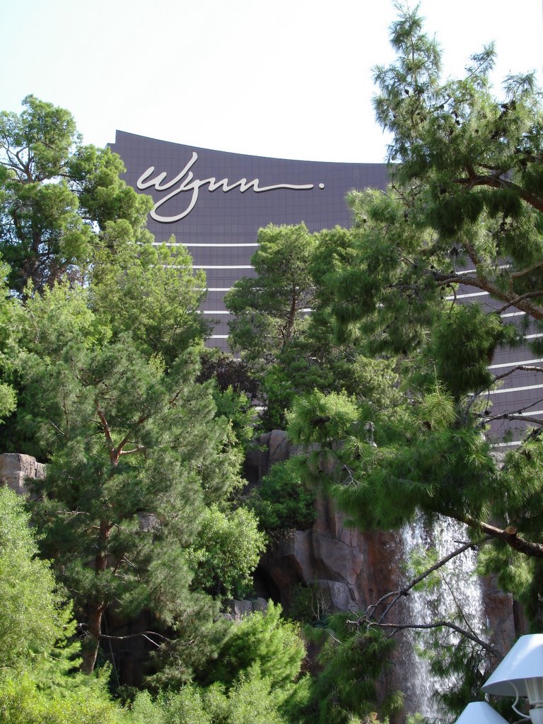 Wynn Resort and Casino Vegas by lincur25