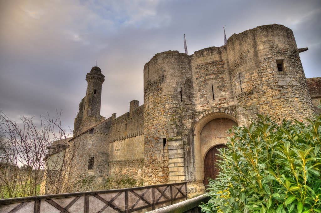 Entrée du chateau du Grand Pressigny by Fabrice BLAIS