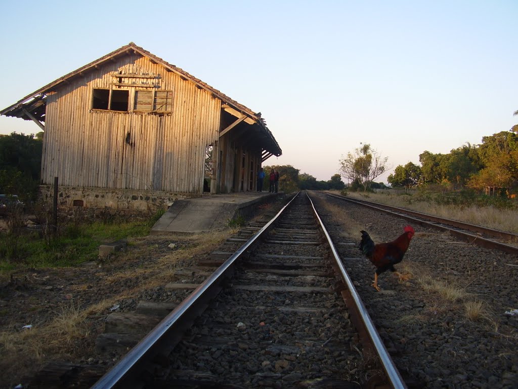 Estação Ferroviária de Aracaçu by Hermélio Moraes