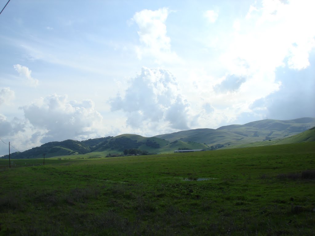 Rolling Hills by Marshview Rd Fairfield, Ca. by MoisesGalvan