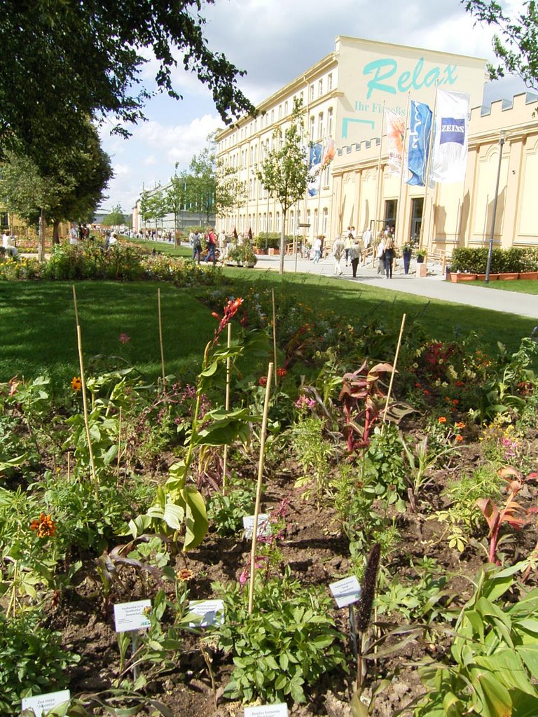 Buga '07 Blütenkorso und Blumenhalle by Patrick Berthold