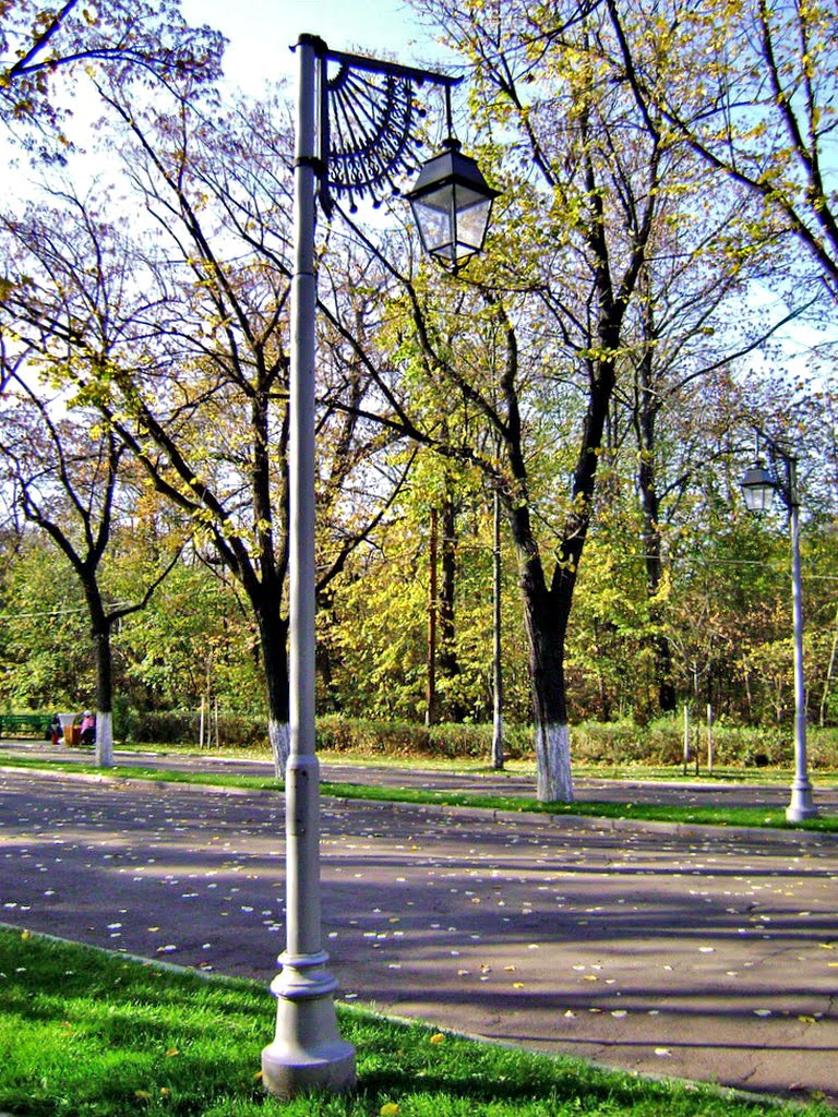 The old street lamp-Batranul felinar by Laurentiu Mitu