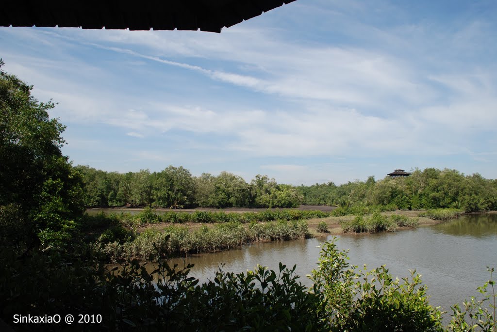 Sungei Buloh Nature Park by Sincere Photo