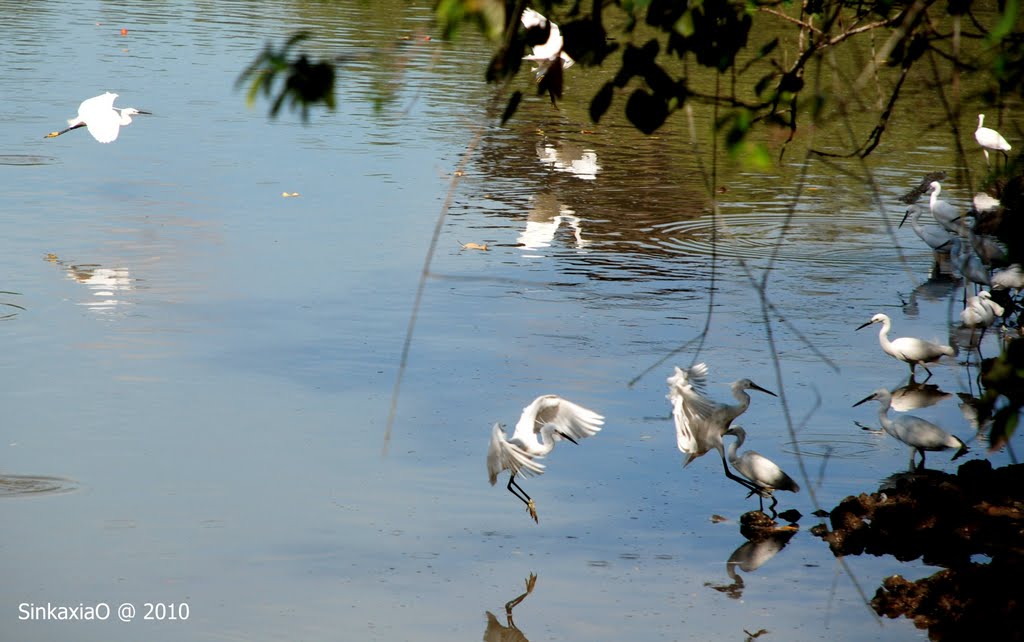 Sungei Buloh Nature Park by Sincere Photo