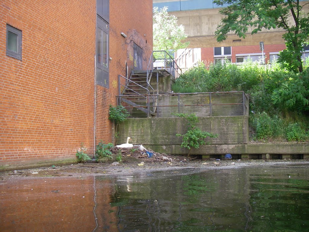 Hauptsache in der City by B.Eichelkraut