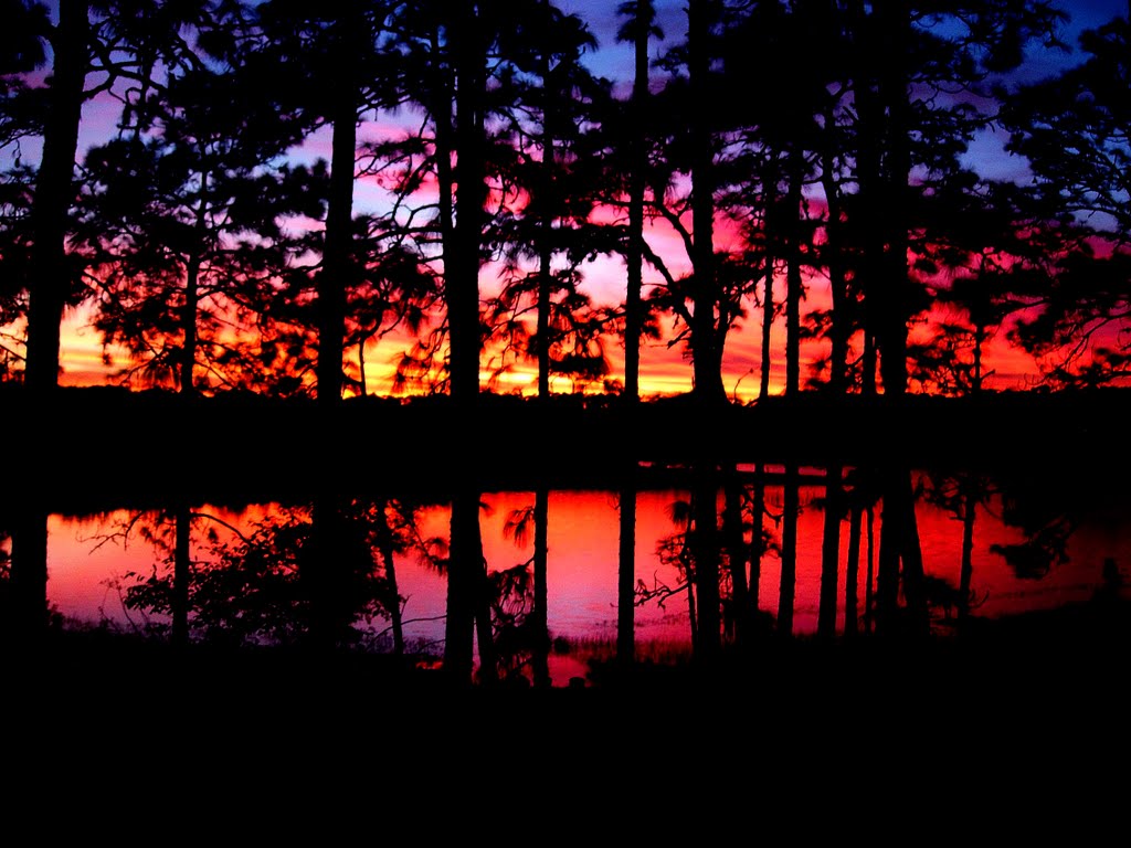 SUNSETS OVER LAKE TOMAHAWK by ed schwanz