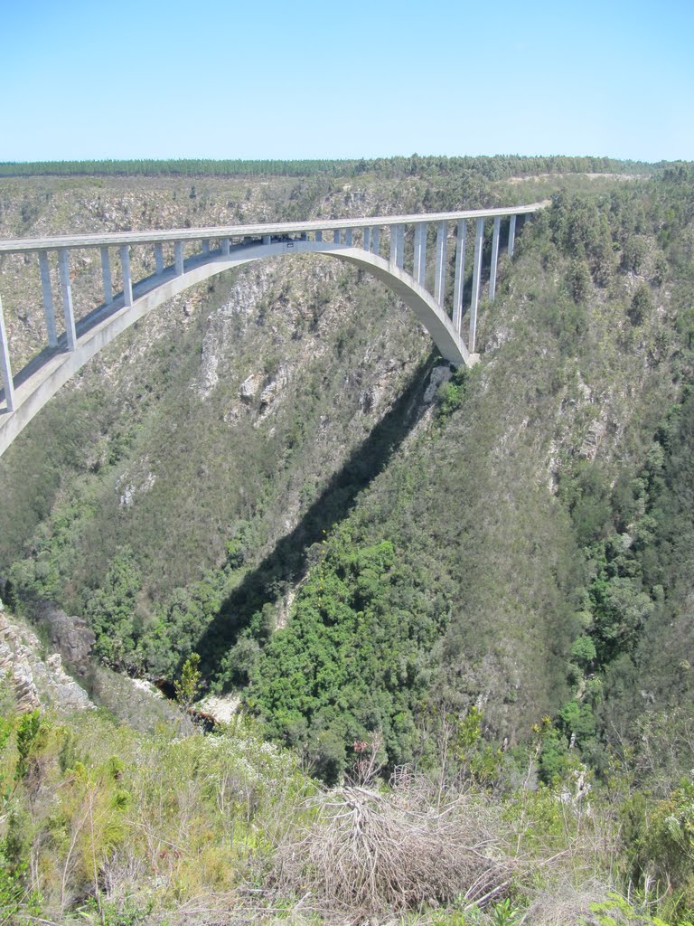 View on Bloukrans river bridge by Willem Nabuurs