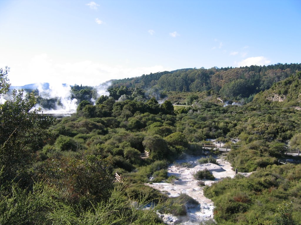 Pohutu Geyser Area by KSUFAN