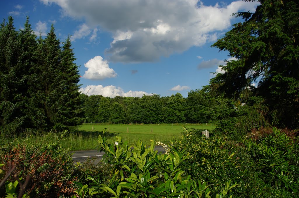 Blick von der Kölkebecker Straße Richtung Mühlenteich by cuhle-fotos