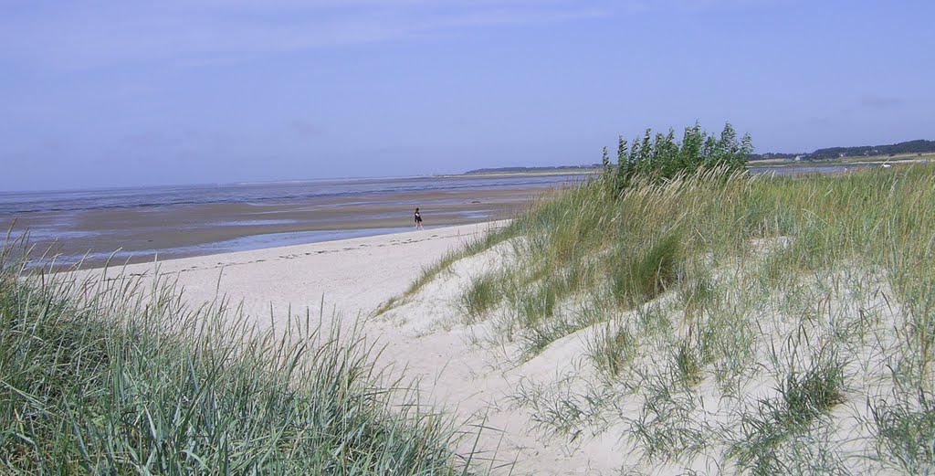 FKK-Strand Nieblum 2009, Insel Föhr, Goting Kliff, Dünen by ka&jo