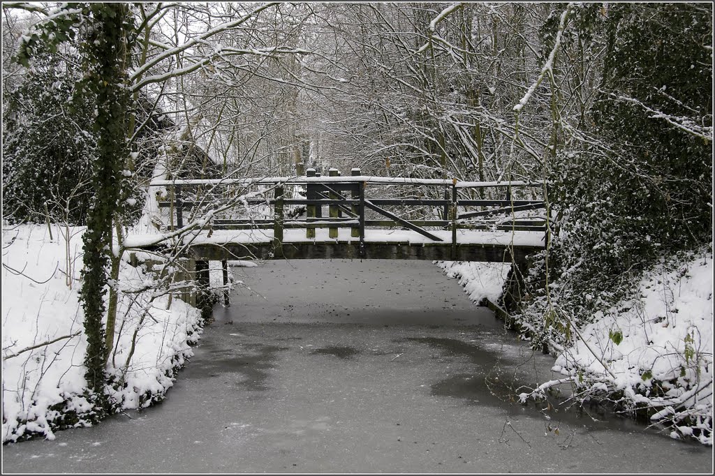 Mijnsheerenland - Little bridge in the park by Ria Maat