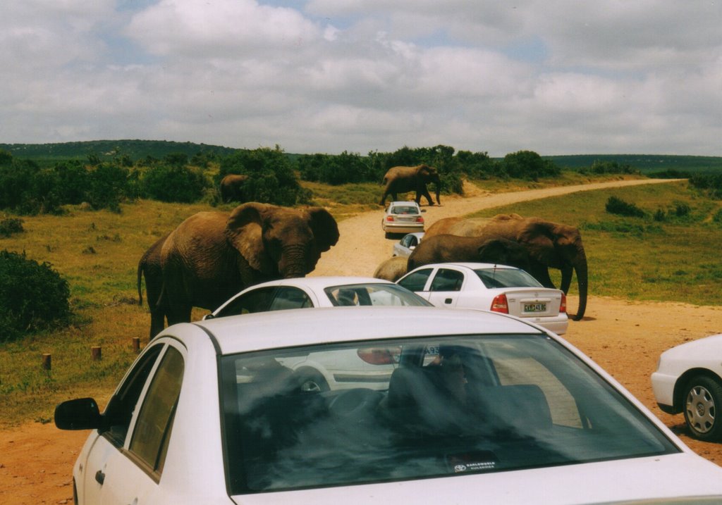 Road blocked - please wait by Martin L.