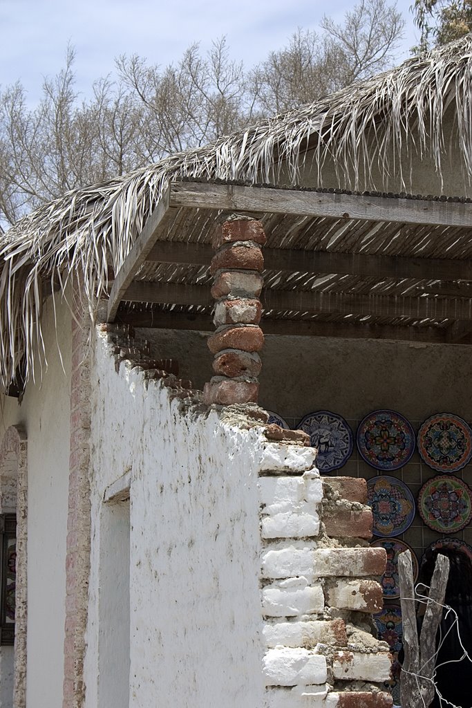 Lomas de Chapultepec, Todos Santos, B.C.S., Mexico by David Kroll