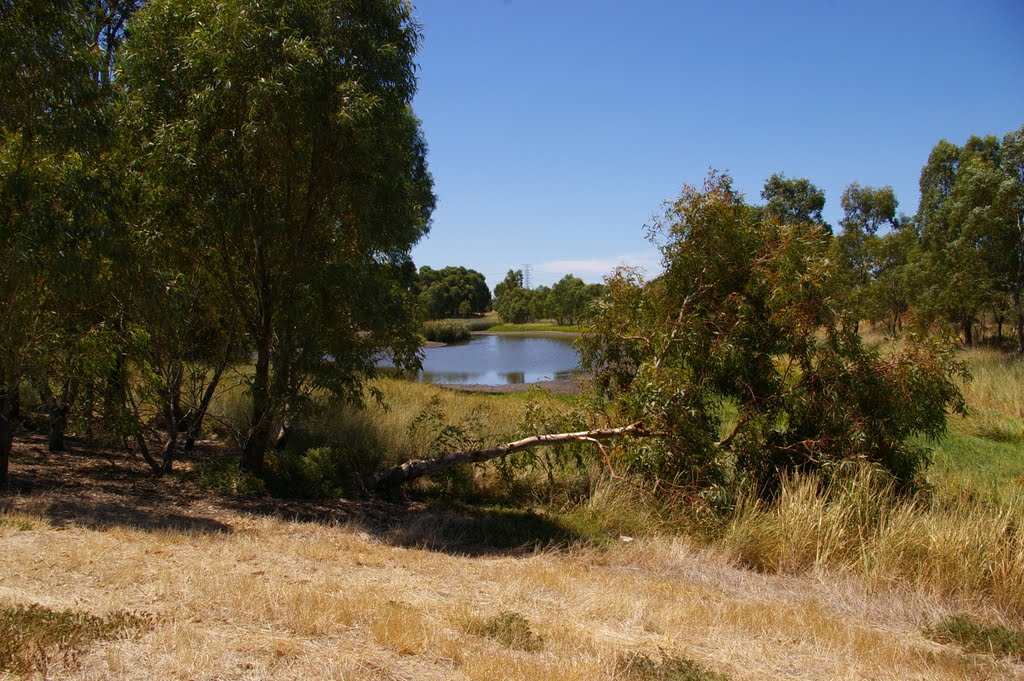 Wetlands at Globe Derby Park by Old Nick