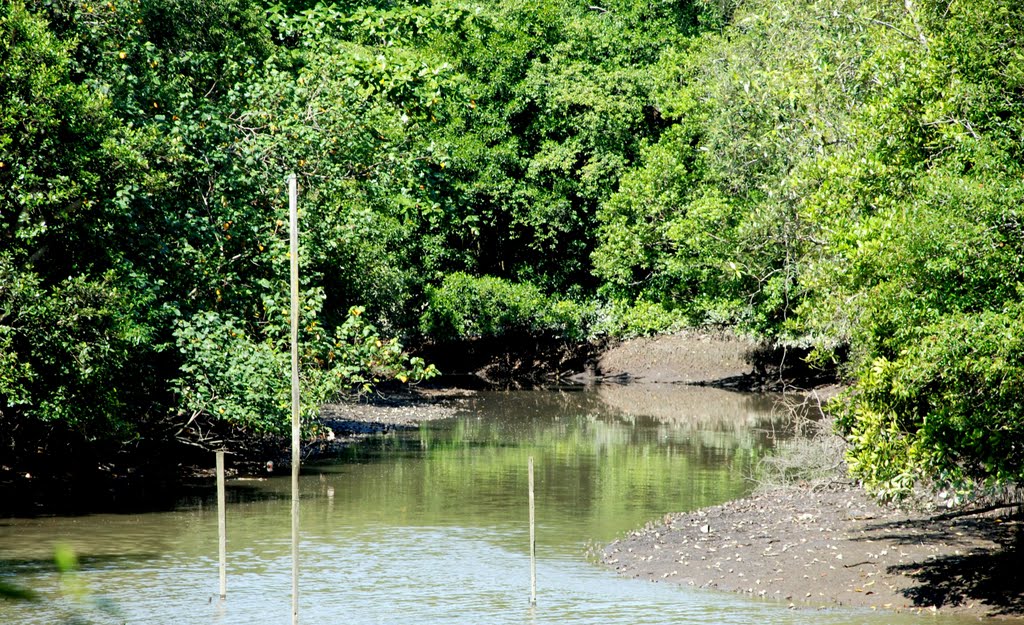 Sungei Buloh Nature Park by Sincere Photo