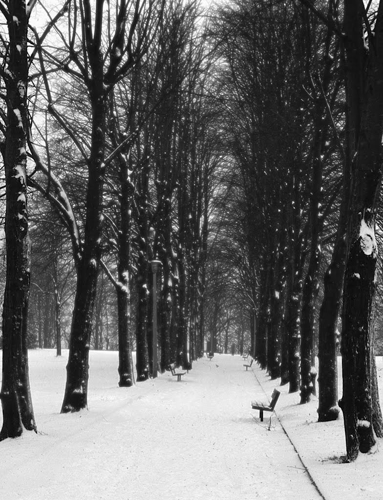 Snow at Alley Pally by FELIX CECCONI