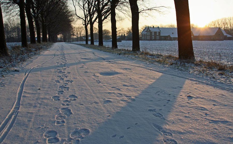 Winterzon in Vormer by Eus Nieuwenhuizen