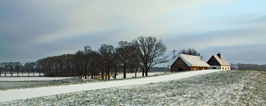 Winter aan de Maasbanddijk by Eus Nieuwenhuizen