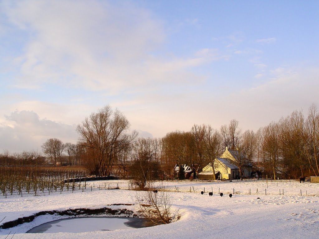 Winter by Annelies Vink