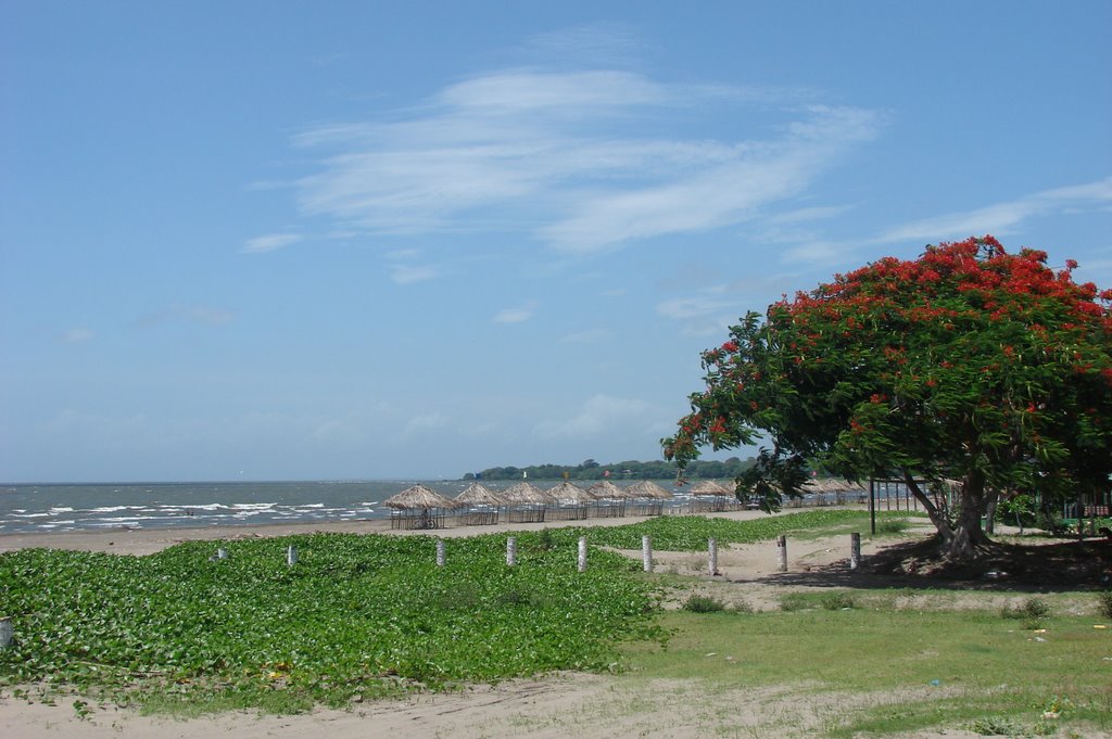 Lago Nicaragua en Granada by gabriel pittelli