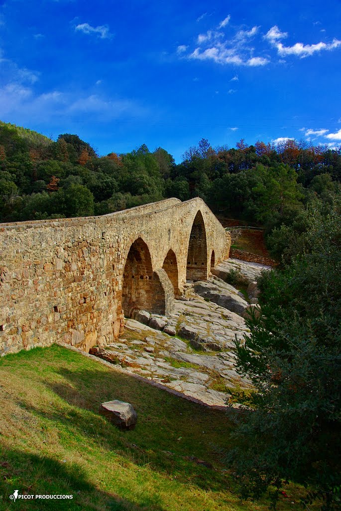 PONT GÒTIC DE PEDRET SOBRE EL RIU LLOBREGAT by © PICOT PRODUCCIONS