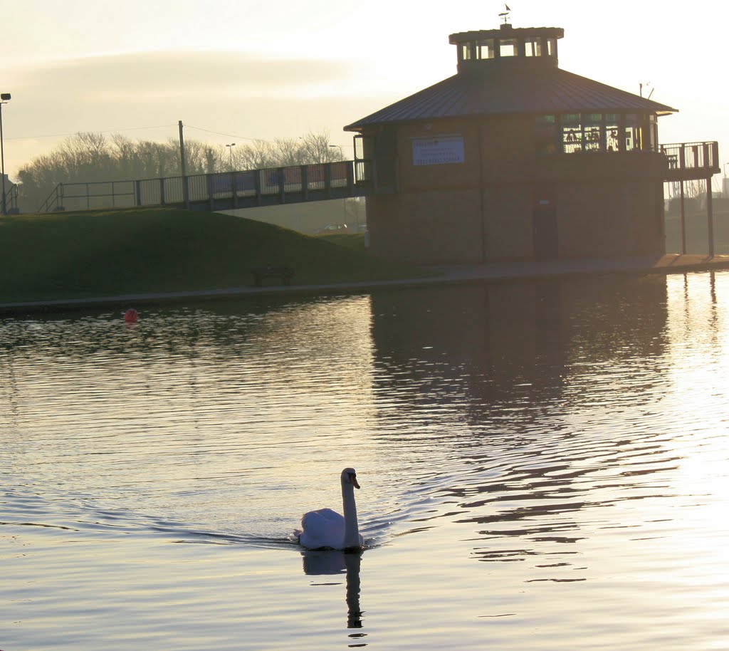 Swan Pond gosport by pwilsonsuffield@hotmail.com