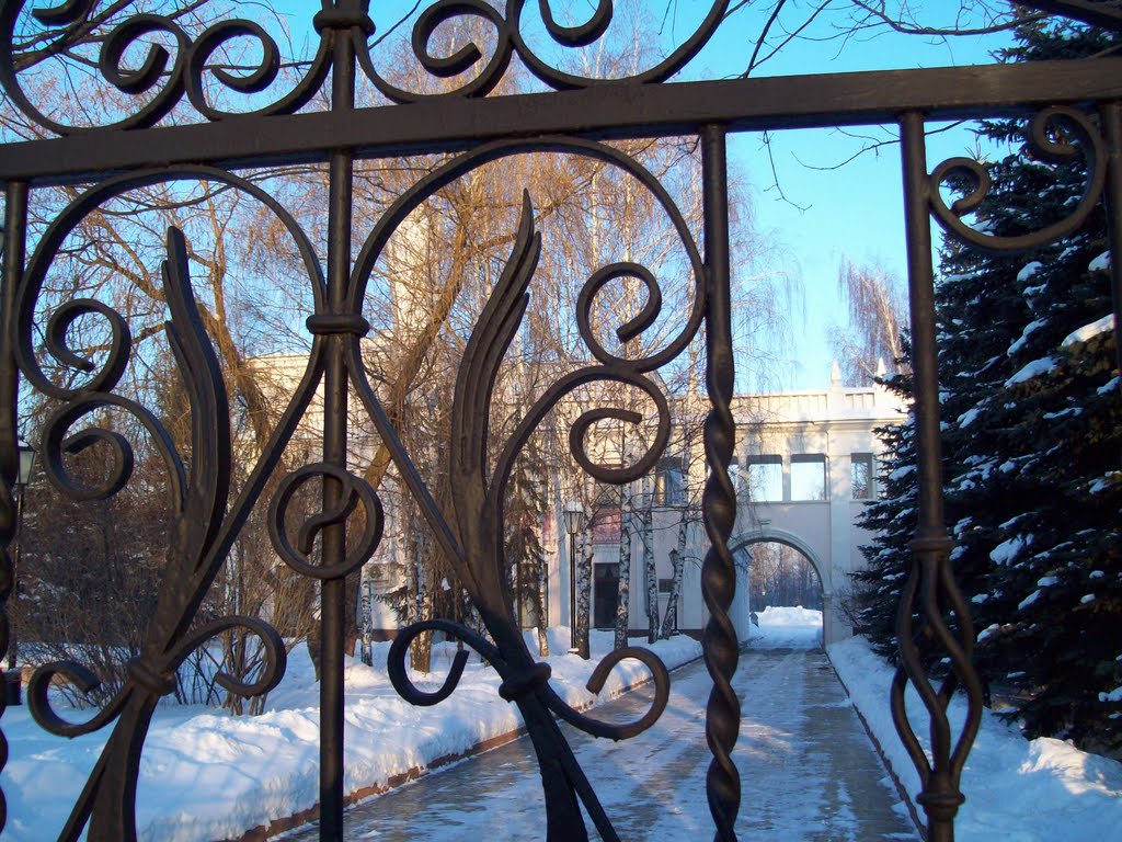 Кованные ворота Дворца Бракосочетания/Forged Gate of the Palace of Weddings by Sidorofff Dmitriy