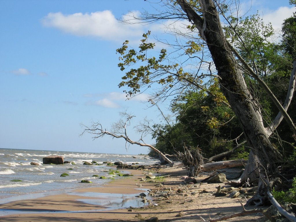 Beach near Saka mansion, Estonia by Andres Piir