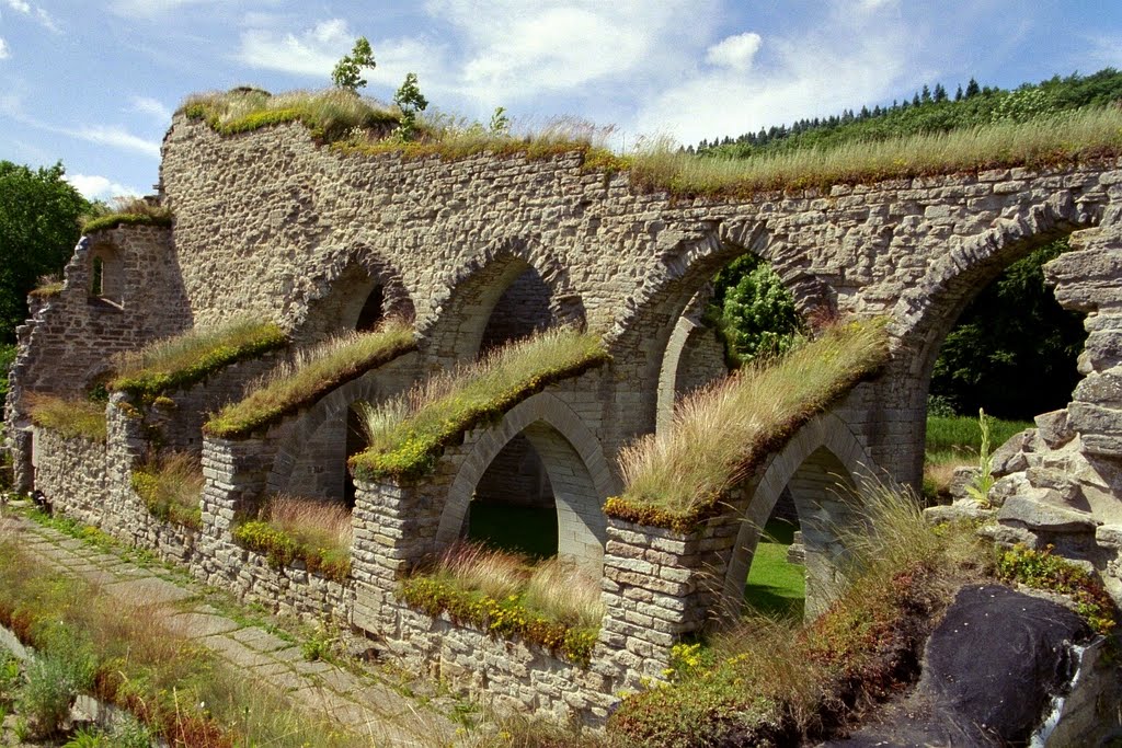 Sweden_Svenska_Östergötland_ruin of cistercian Alvastra Abbey_034_na.jpg by George Charleston