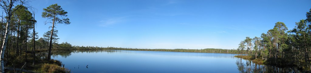 Swamp panorama, Meenikunno, Estonia by Andres Piir