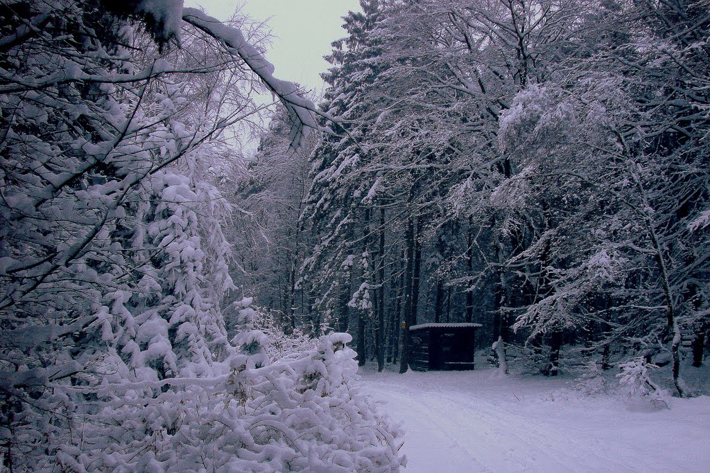 Schwarzer Brink in the icy winter of 2010 by Andreas Fischer (Lintorf)