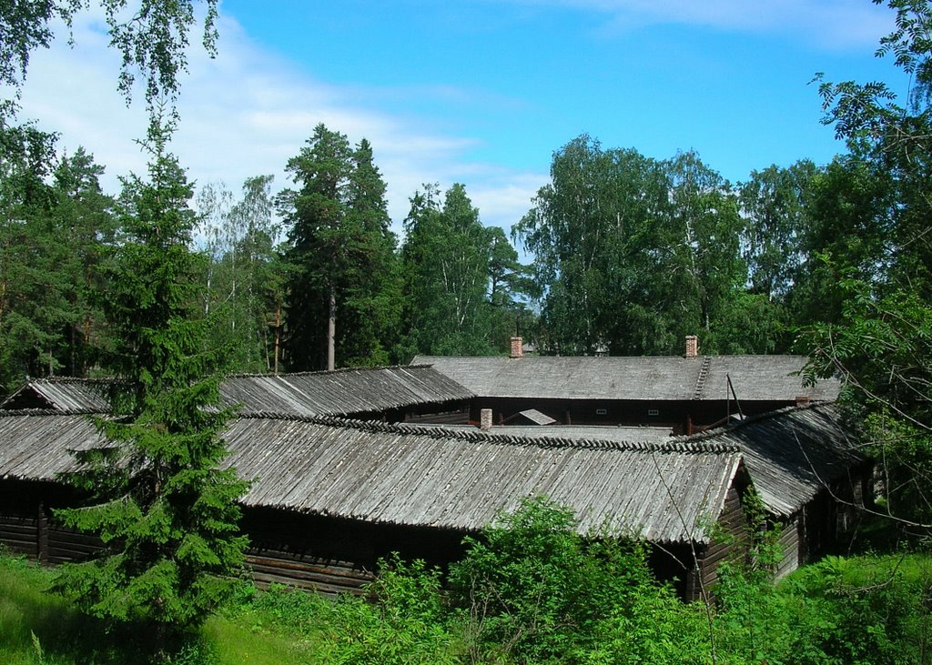 Roofs of Antti farmstead by Petteri Kantokari