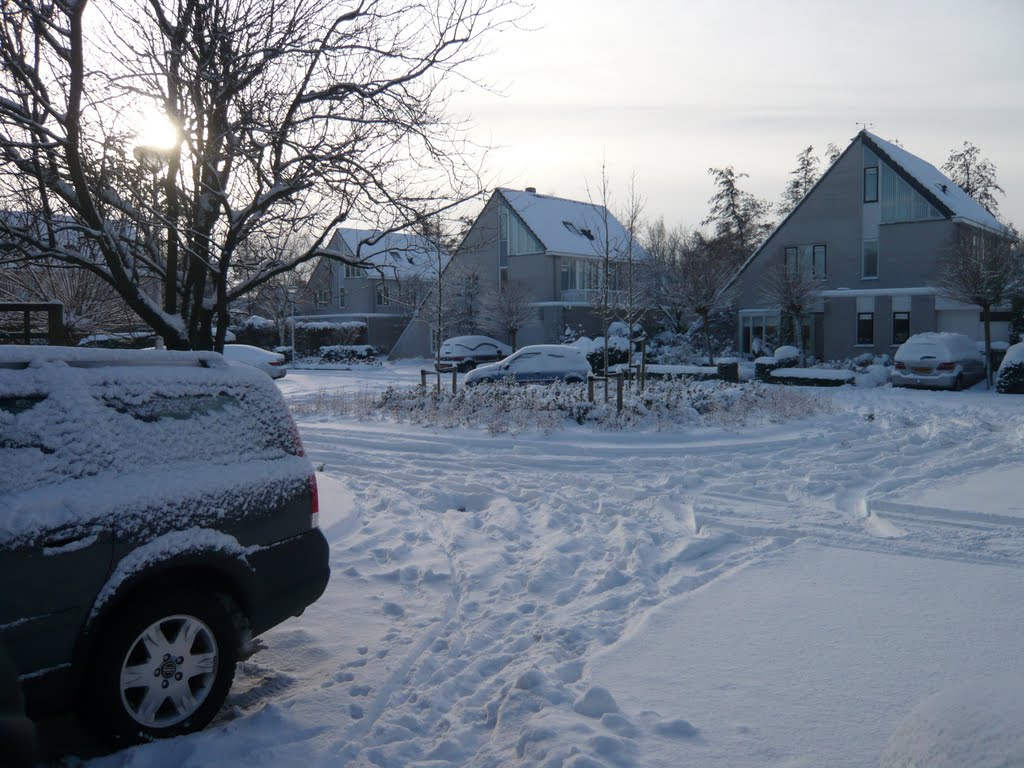 Winter 2010 Woubrechterf Waddinxveen by Ben Sinnige