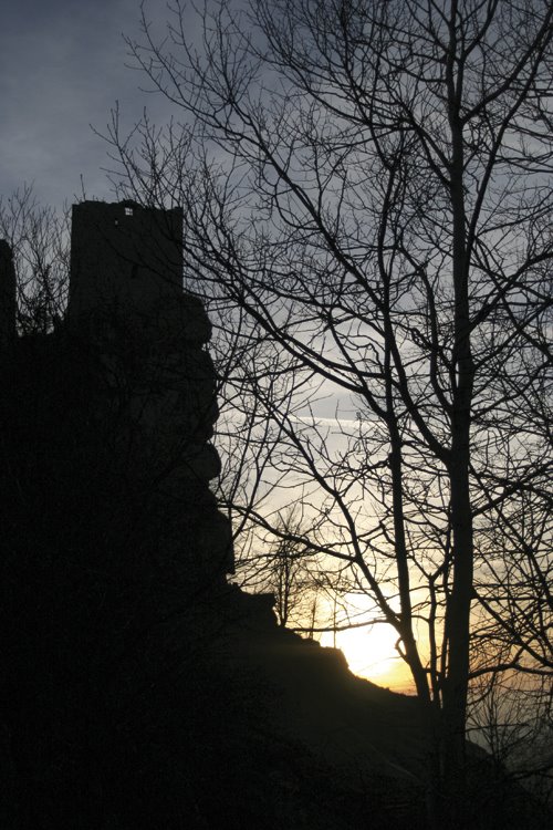 Burg Flossenbürg by Held Andreas