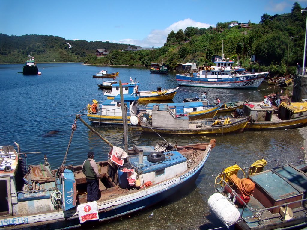 Puerto Montt by luis serichol