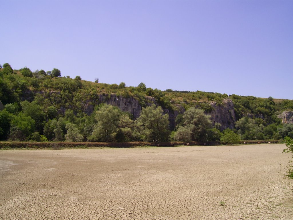 Breeding-Pond, 2007 by Martin Stoyanov