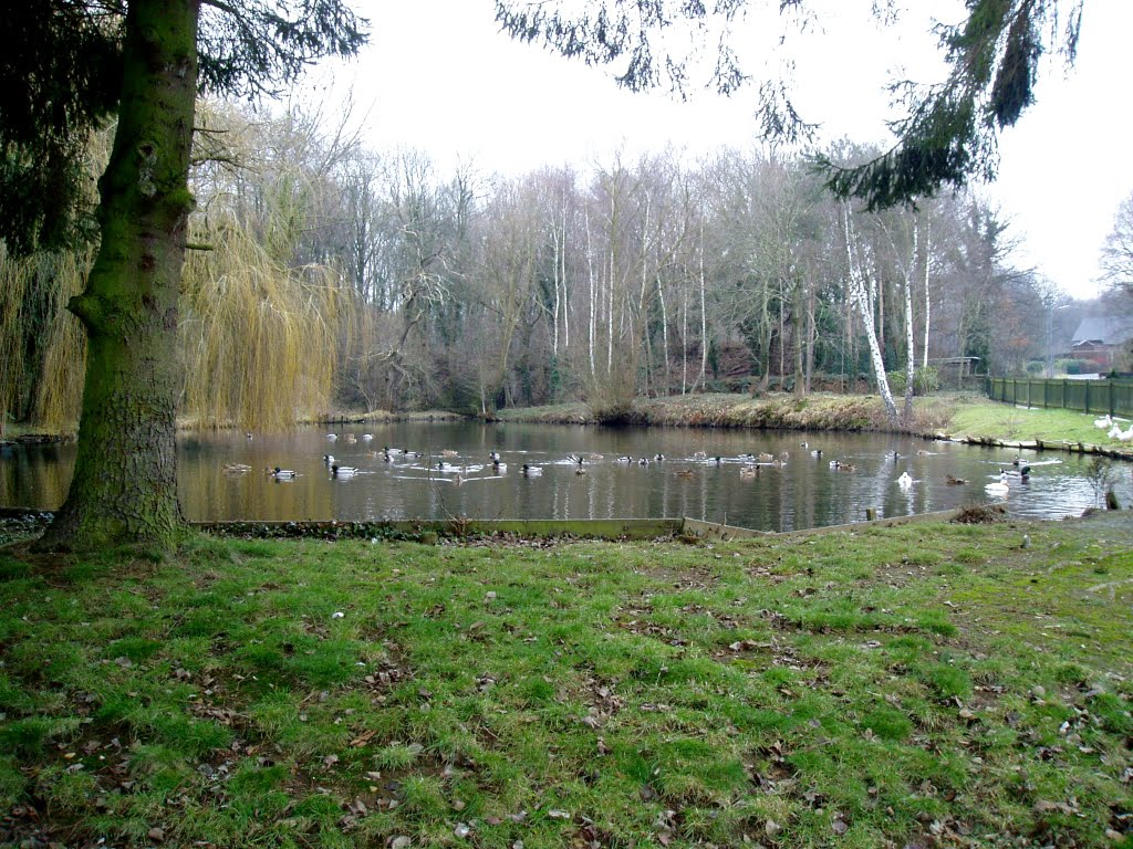 Trüber Wintertag am Birgelener Mühlenteich (Febr. 2010) by Heinz Gansweidt